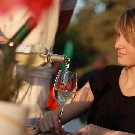 ホテル Aquilo Panorama 3*